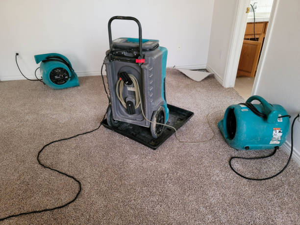 Best Flooded house restoration  in Hudson, NC