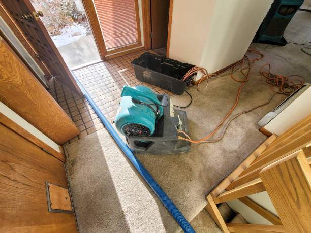 Best Ceiling water damage repair  in Hudson, NC