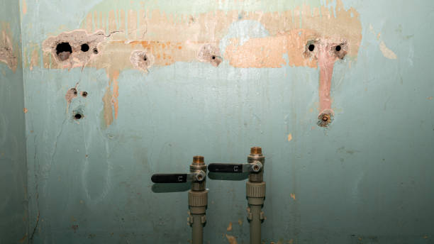 Best Sewage cleanup and water damage restoration  in Hudson, NC