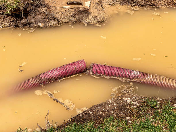 Best Professional water damage repair  in Hudson, NC